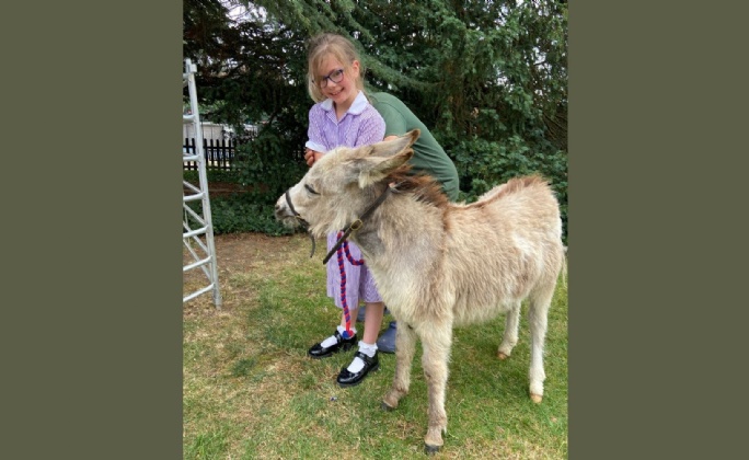Latest News &raquo; Brilliance Festival and Summer Fete Celebrate a Fantastic Year